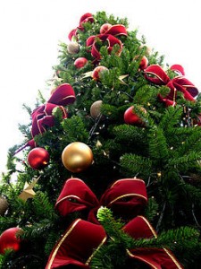 Christmas_tree_sxc_hu-225×300-1